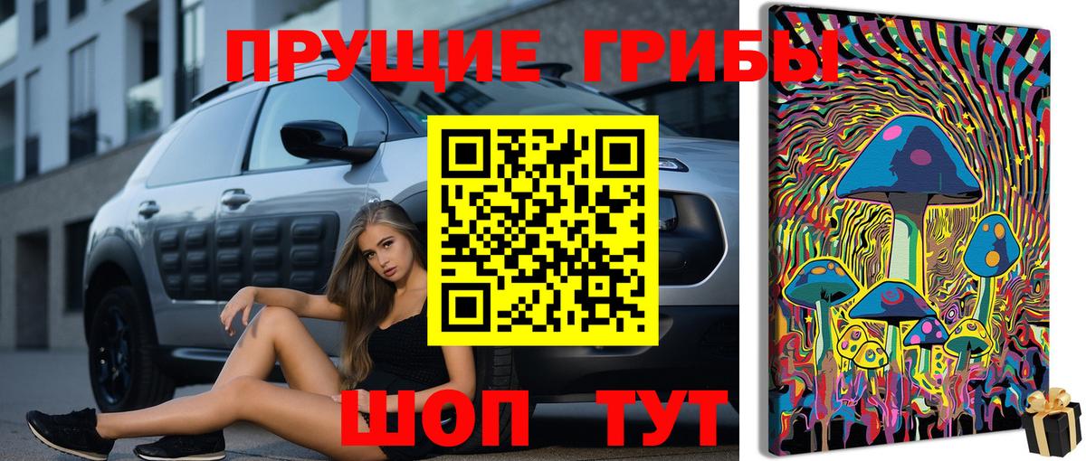Псилоцибиновые грибы мухоморы  хочу   Амурск  Вход с VPN  Псилоцибиновые грибы Psilocybe 